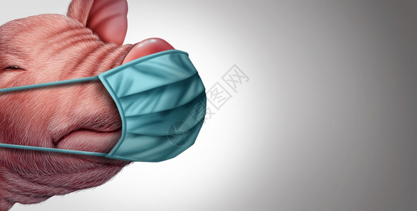作为猪和感染的牲畜病和毒或G4流感是全球传染病爆发概念或农业公共安全标志中带有3D说明要素的健康风险图片