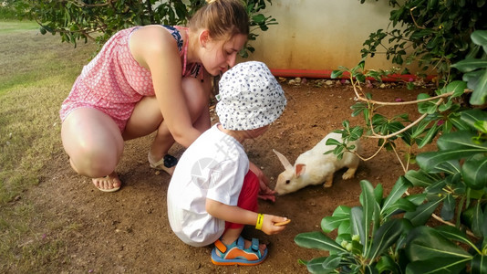 可爱的幼儿男孩年母亲在动物园中手喂养可爱的白兔子幼儿男孩年母亲手喂养可爱的白兔子在动物园中亲手喂养可爱的白兔子图片