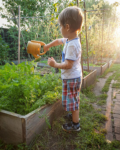3岁小孩男从塑料罐子中浇水花园图片