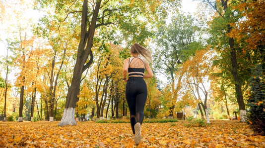 在秋季公园慢跑的年轻女子背影图片