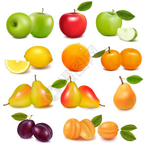 一大群不同的水果矢量图片