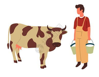 奶桶农民和养牛业和畜牧牲或牛病媒将男作为孤立的家畜哺乳动物养农肉和奶制品养牛有机食牧场图片