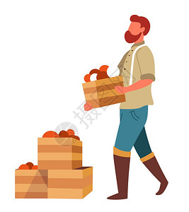 农业男子民携带蔬菜箱到市场销售病媒孤立的男有机农业食品和木箱市场销售营销农业商种植和图片