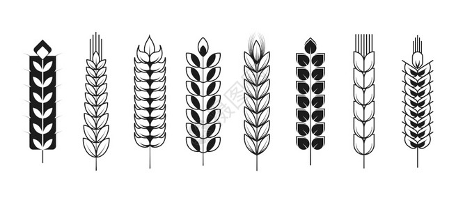 黑白小麦矢量元素图片