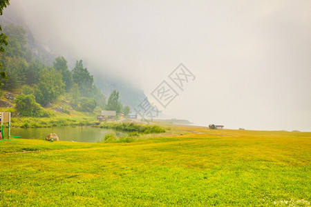 福吉夏季风景挪威有树木的草地和图片