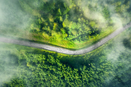 性感曲线夏季日落时低云下美丽的绿林中道路空观察背景