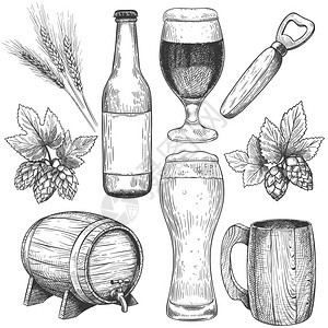 咖啡厅设计孤立元素手绘啤酒纸杯子和桶瓶酒麦芽和大饮料手画啤酒杯子和桶饮料背景图片