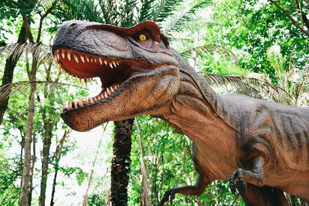 森林公园中的恐龙雕像暴雷克斯图片