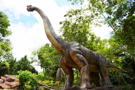 森林公园中的恐龙雕像图片