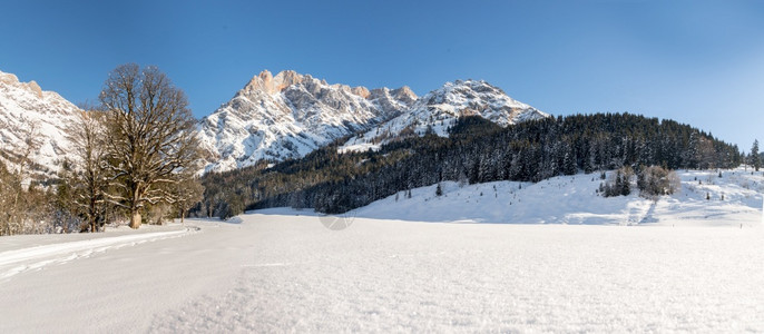 美丽的寒冬景色惊人的山脉雪树和蓝天空全景图片