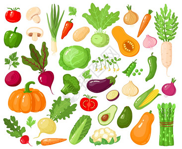卡通蔬菜维加食品番茄南瓜青和胡萝卜素新鲜生蔬菜矢量图示标蔬菜和胡萝卜南瓜蔬菜和胡萝卜素新鲜蔬菜矢量图示标素新鲜蔬菜矢量图示标图片