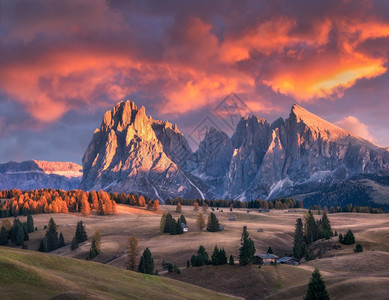 美丽的山脉有明亮峰和日落时红天空秋风景有小木屋山谷绿草地秋树高岩意大利的AlpediSiusi图片