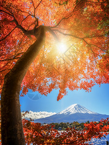 日本富士山的秋天多彩川口子湖是日本最享受富士山景色的地方之一日本秋色中富士山的颜变化图片