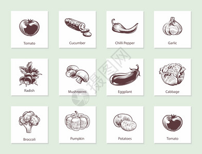 蔬菜幻灯片套件用手画的线蔬菜用各种老式手绘制的带文字生物食品标签设计模板种植生态食品草图样的矢量孤立套件蔬菜幻灯片套件用手画的线图片