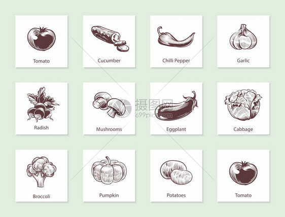 蔬菜幻灯片套件用手画的线蔬菜用各种老式手绘制的带文字生物食品标签设计模板种植生态食品草图样的矢量孤立套件蔬菜幻灯片套件用手画的线图片