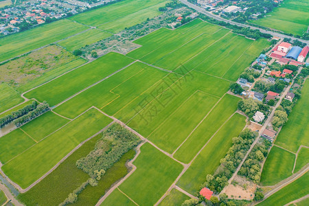 在越南亚洲日落的山丘谷MuCangChai农村或地区新鲜稻田绿色农业新稻的空中最佳景象图片