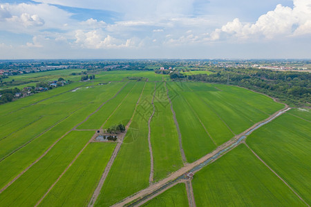 在越南亚洲日落的山丘谷MuCangChai农村或地区新鲜稻田绿色农业新稻的空中最佳景象图片