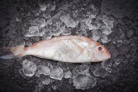 冰上市场淡水鱼原海鲜冻结的图片