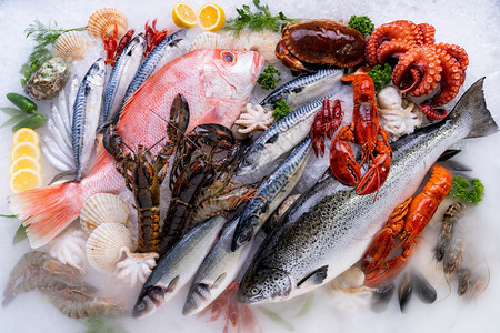 各种新鲜奢侈海龙虾鲑鱼竹鳄龙虾章鲸红扇贝和石蟹以冰底为背景海鲜市场上有冰烟图片