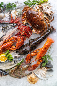 各种新鲜奢侈海龙虾鲑鱼竹鳄龙虾章鲸红扇贝和石蟹以冰底为背景海鲜市场上有冰烟图片