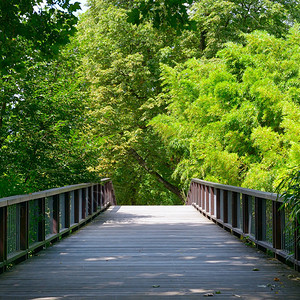 公园旧木桥图片