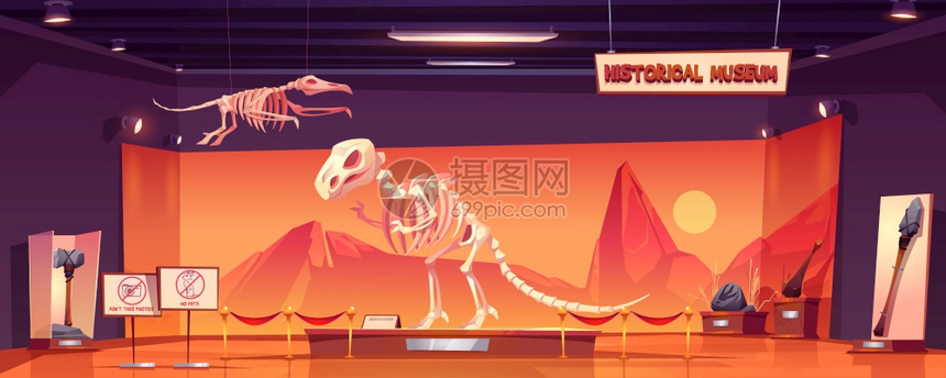 古生物学展览的Dinotyrannosaurrex和pterodactyl化石以及古老文物代考学卡通矢量图历史博物馆的恐龙骨展览图片
