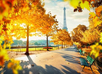 清晨阳光和秋天埃菲尔铁塔法国巴黎图片