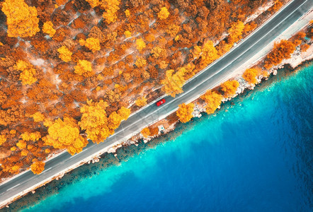 秋天日落时美丽的橙色森林和蓝海的公路空中景象道汽车模糊水清树木秋天海岸公路的顶端旅行美丽的橙色森林和蓝海的道路空中景象图片