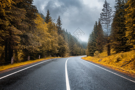 森林公路美丽的山路风景背景