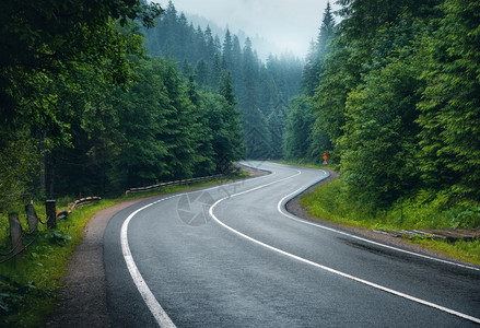 森林公路美丽的山路风景背景