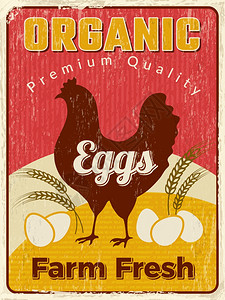 鸡蛋海报新鲜健康农场食品病媒设计标牌Illustraton鸡蛋养场健康的新鲜天然食品鸡海报图片