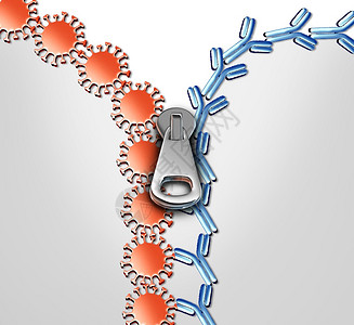 抗体免疫系统和Immunoglobulin概念是3D制成的抗体攻击传染细胞和原体背景图片