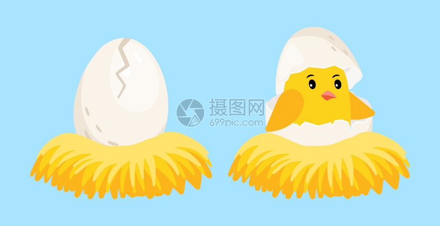 新生小鸡卡通蛋和孵化在巢矢量说明中头部有蛋壳巢中的小鸡新生鸟鸡蛋