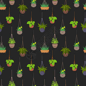 植物无缝模式背景的挂锅种植和花盆挂生长朵插图植物无缝模式背景的挂锅图片