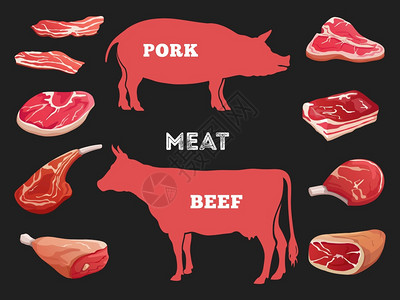牛和猪肉不同切矢量说明猪食牛和猪不同切矢量说明牛和肉不同切图片