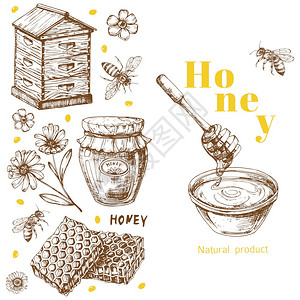 含有手工抽取元素的回转矢量蜂蜜背景模板蜂年种健康天然甜食等说明带手工抽取元素的回转矢量蜂蜜背景模板图片