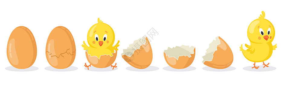 卡通鸡蛋孵出小鸡高清图片
