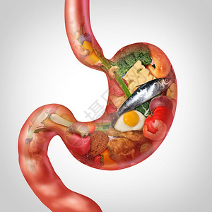 食物消化和营养作为胃部成形的分代表胃肠健康或消化问题含有3D插图元素背景图片