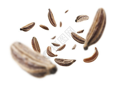 Cumin种子在白色背景上飘浮infowhatsthis图片