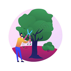 砍伐树木和灌的抽象概念矢量说明园艺服务景观维护修剪除去有病断裂的树枝塑造木抽象隐喻砍树和灌木的抽象概念矢量说明图片
