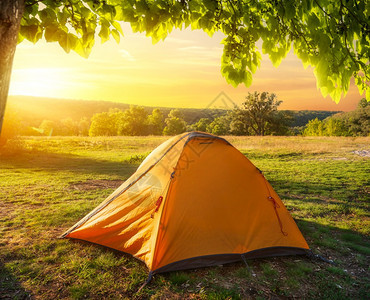 日出时森林附近的草原上一顶橙色的帐篷图片