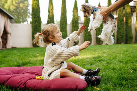 小孩在花园的蹦床上抱着滑稽的狗图片