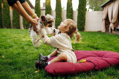 小孩在花园的蹦床上抱着狗狗图片
