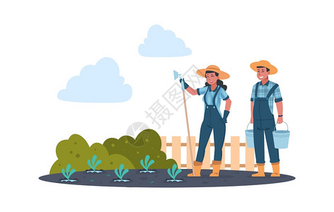 男人物农业工作卡通民在田间工作收获蔬菜物切生式家庭种植可食用物