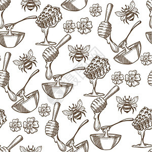 蜜蜂野花蜜蜂有机天然产品矢量元素插画背景图片