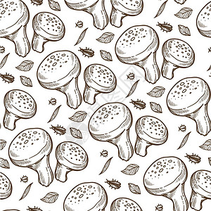 松蘑菇生有机蔬菜无缝模式松鼠和虫林树叶蘑菇爱好或食用成分做饭单色素描大纲平式矢量松鼠蘑菇和树叶虫无缝模式矢量图片