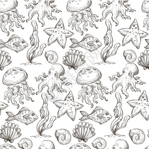 带触角软体动物和海星的果冻鱼章热带无色单草图大纲平式矢量章鱼和海壳类藻无缝模式图片