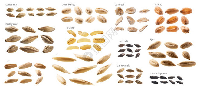 白色背景上的大片麦芽和谷物白色背景上的大片麦芽和谷物背景图片