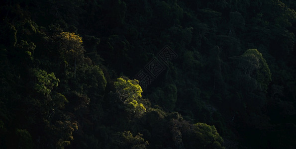 温泉瀑布热带森林丛景观生态和环境保护概念放松温泉治疗和zen上午户外度假等热带森林自然丛景观背景