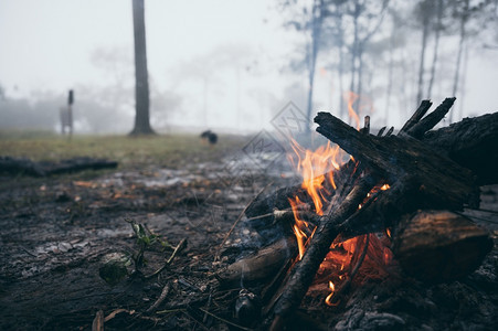 森林中冬季夜间营火烘烤和温暖舒适概念图片